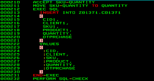 Photo of COBOL programming.